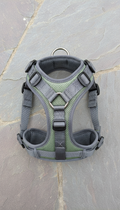 Adjustable No-Pull Dog Harness