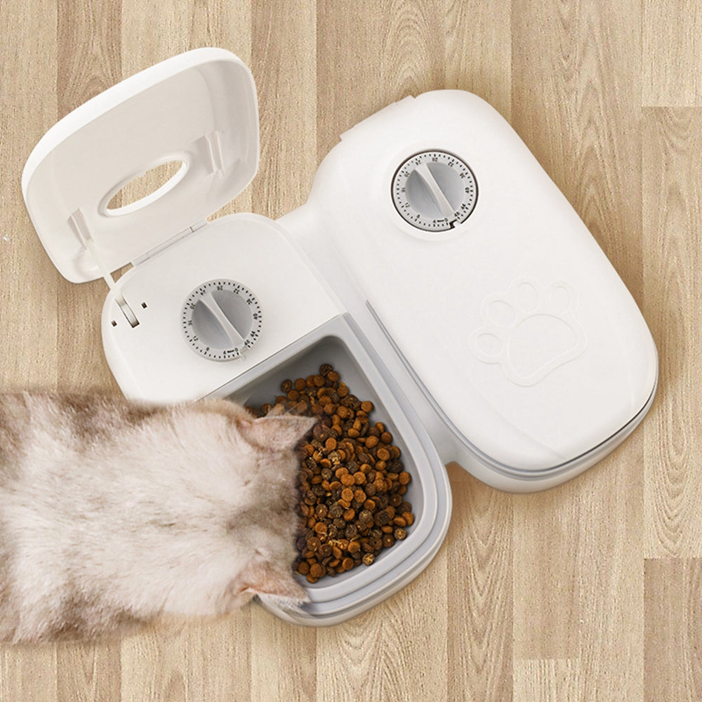Kinavora DuoServe feeder and water dispenser lifestyle view