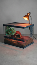 Reptile Habitat Kit