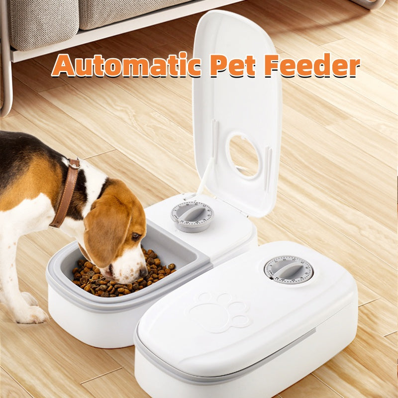 Kinavora DuoServe gravity pet feeder and water dispenser in grey